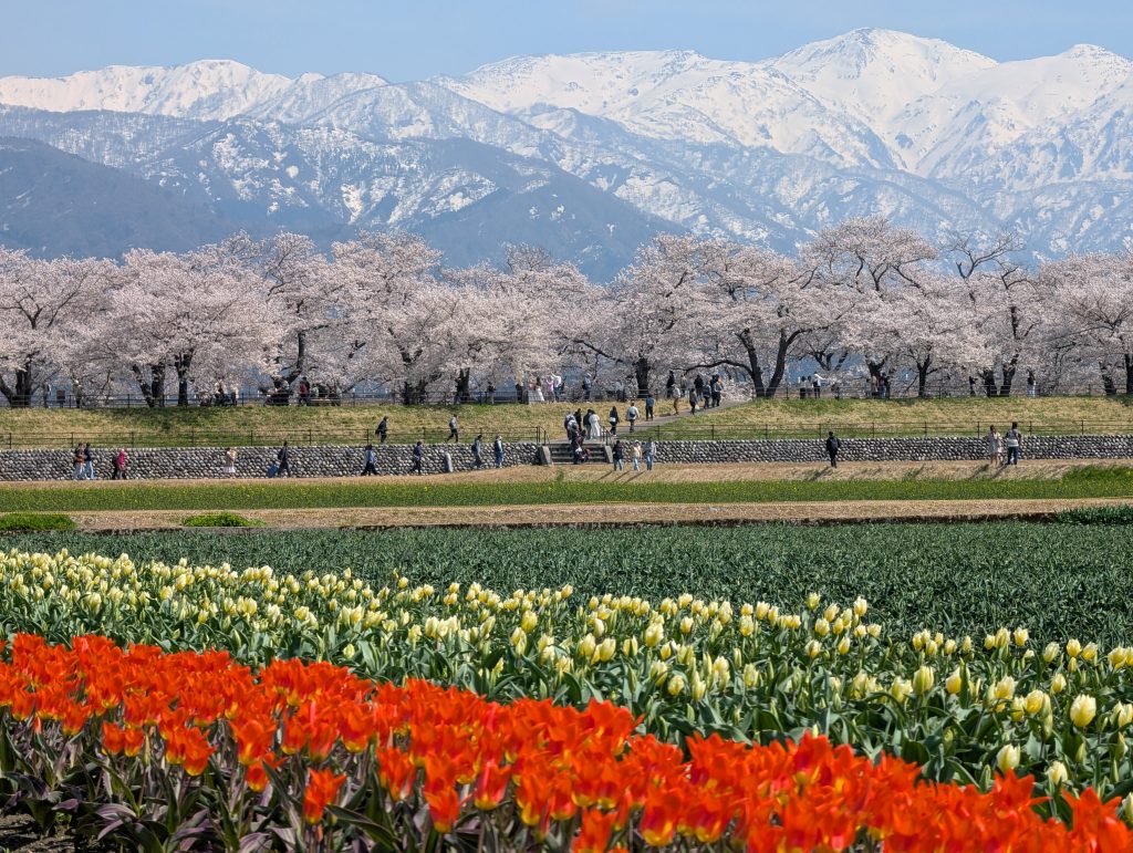 旅遊時間: 2025年4月12日旅遊時間: 2025年4月12日旅遊時間: 2025年4月12日旅遊時間: 2025年4月12日